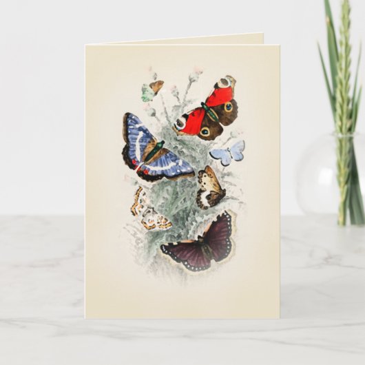 Carte Vintage Butterfly Boho Chic (Devant)