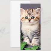 Carte Vintage Christmas Kitten et Holly Card (Devant / Derrière)