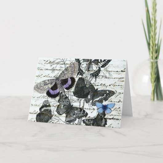 Carte vintage d'Austen de papillons (Devant)