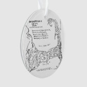 Carte vintage de Cape Cod (1890) (devant)