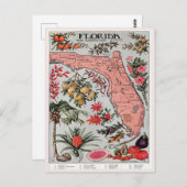 Carte vintage de Floride, Everglade State Travel (Devant / Derrière)