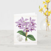 Carte vintage d'orchidées (Fleur jaune)