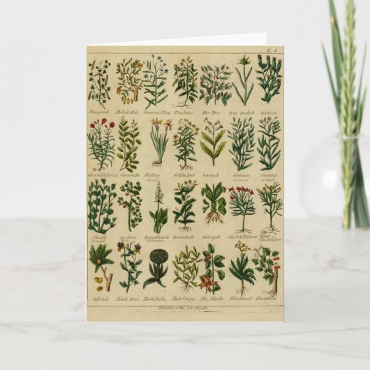 Carte Vintage Herbal Greeting Card Series (Devant)