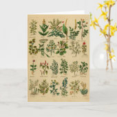 Carte Vintage Herbal Greeting Card Series (Fleur jaune)