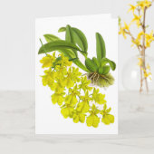 Carte vintage jaune orchidée noire (Fleur jaune)