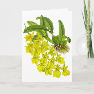 Carte vintage jaune orchidée noire
