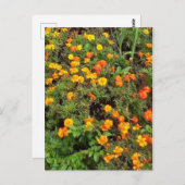 Carte Vintage moderne Jardin Botanique (Devant / Derrière)