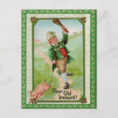 Carte vintage Old Dear Ireland (Devant)
