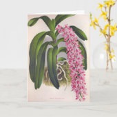 Carte Vintage Orchidée Lilac Aerides Fieldingi Lindenia (Fleur jaune)