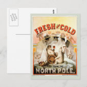 Carte vintage, ours blancs de bière blonde, Pôle (Devant / Derrière)