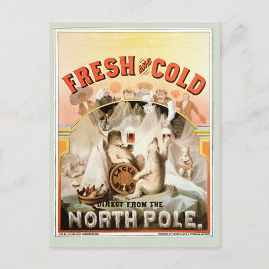 Carte vintage, ours blancs de bière blonde, Pôle (Devant)