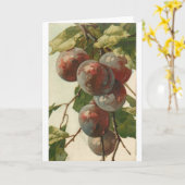 Carte Vintage - Plums sur l'arbre, (Fleur jaune)