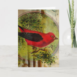 Carte Vintage Red Bird Anniversaire Collage