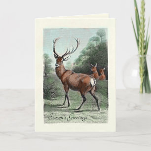 Carte Vintage Red Deer Stag et fait Colorizé Salutation