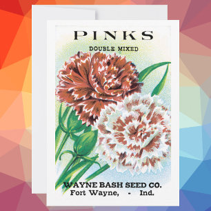 Carte Vintage Seed Packet Art, Pinks Carnation Flowers