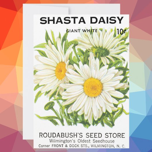 Carte Vintage Seed Packet Art, Shasta Daisy Flowers