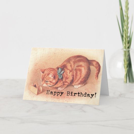 Carte Vintage Tabby Kitty Anniversaire (Devant)