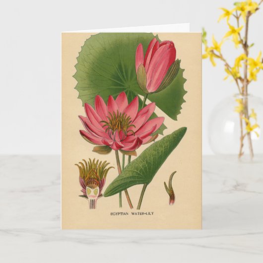 Carte Vintage Waterlily (Fleur jaune)