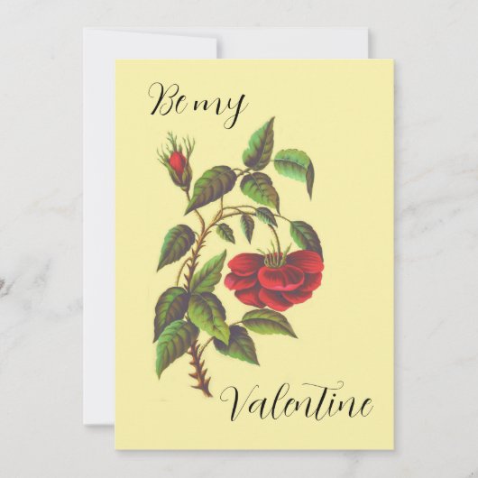 Carte vintage Wild Red Rose Valentin (Devant)