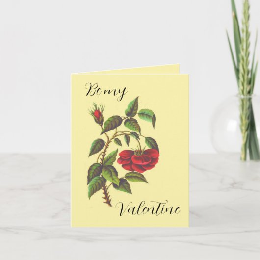Carte vintage Wild Red Rose Valentin (Devant)