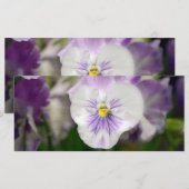 Carte Violas violets et blancs par Shirley Taylor (Devant / Derrière)