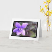 Carte Violet (Fleur jaune)