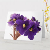 Carte Violet africain (Fleur jaune)