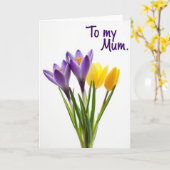 Carte Violet Blooms Mum Card (Fleur jaune)