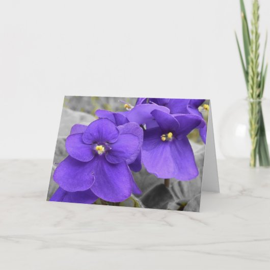Carte Violets (Devant)