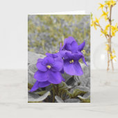 Carte Violets (Fleur jaune)