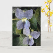Carte Violets sauvages (Fleur jaune)