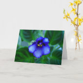 Carte Violette africaine (Fleur jaune)