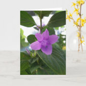 Carte Violette Philippine Pourpre (Fleur jaune)