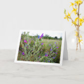 Carte Viper-bugloss, Plante Echium (Fleur jaune)