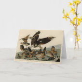 Carte Virginian Partridge, Audubon's Birds of America (Fleur jaune)