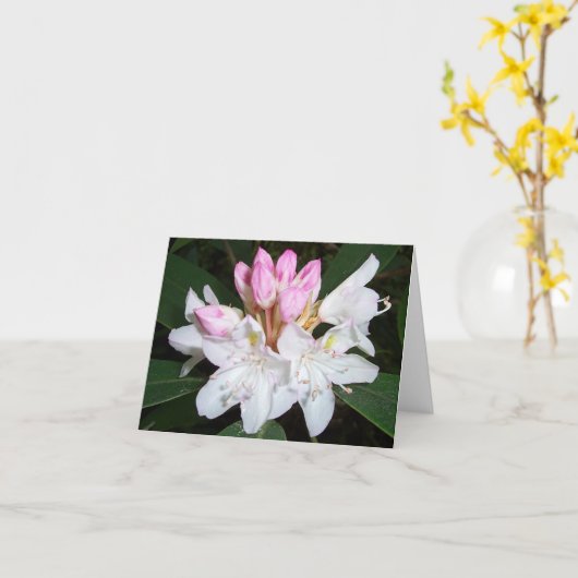 Carte Virginie Rhododendron (Fleur jaune)