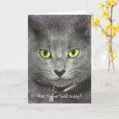 Carte Visage de chat pour se sentir mieux bientôt (Fleur jaune)