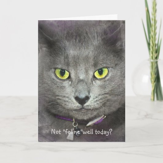 Carte Visage de chat qui se sent mieux bientôt (Devant)