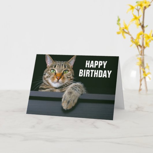 Carte Visage de chat tigré gris | Joyeux Anniversaire (Fleur jaune)