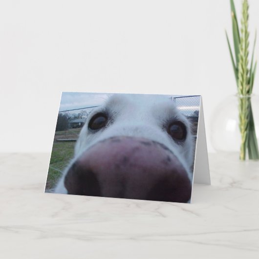 Carte Visage de chiot (Devant)