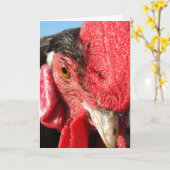 Carte Visage du coq Lakenvelder (Fleur jaune)