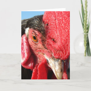 Carte Visage du coq Lakenvelder