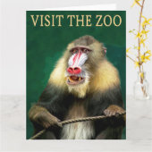 Carte Visitez le mandrill au zoo (Fleur jaune)