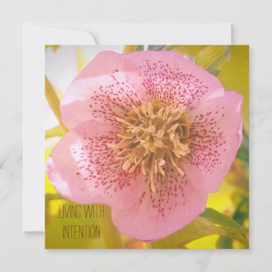 Carte Vivre avec intention. Helleborus (Rose de Lenten) (Devant)