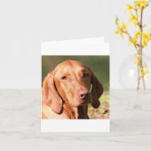 Carte vizsla (Fleur jaune)