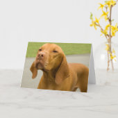 Carte Vizsla (Fleur jaune)