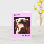 Carte Vizsla - désolé d'entendre que vous êtes crevé (ro (Fleur jaune)