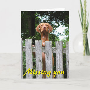 Carte Vizsla "vous manquant" cardent