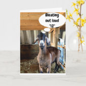 Carte VŒU D'ANNIVERSAIRE "12 ANS" : CHÈVRE MIGNONN (Fleur jaune)