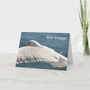 Carte voeu de seagull